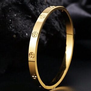 NWT Exquisite Light Luxury Stainless Steel Plus Bangle Bracelet